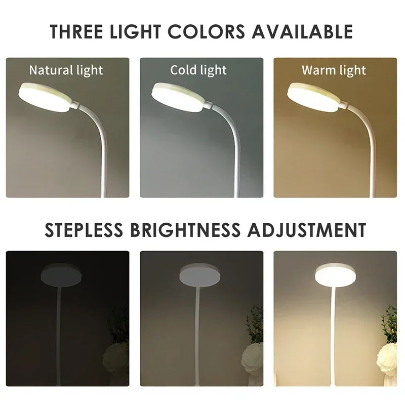 Portable LED Desk Lamp