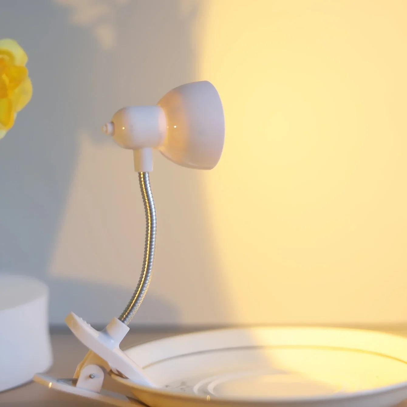 Clip-On Reading Lamp